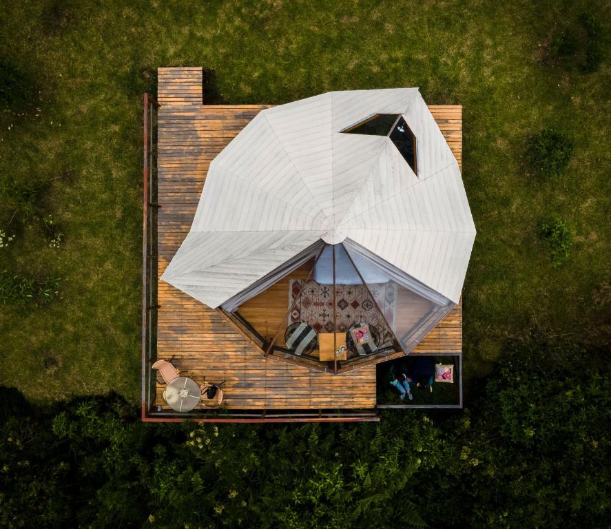 mejor glamping valle de cocora