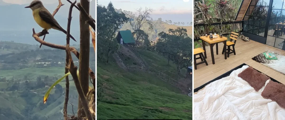 Kavas Natural Connection