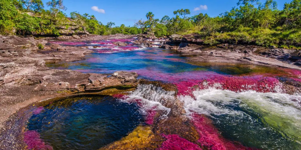 Caño Cristales